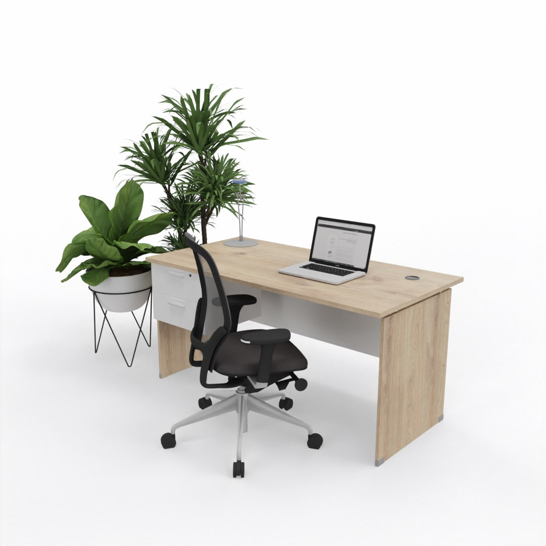 Platinum Home Desk