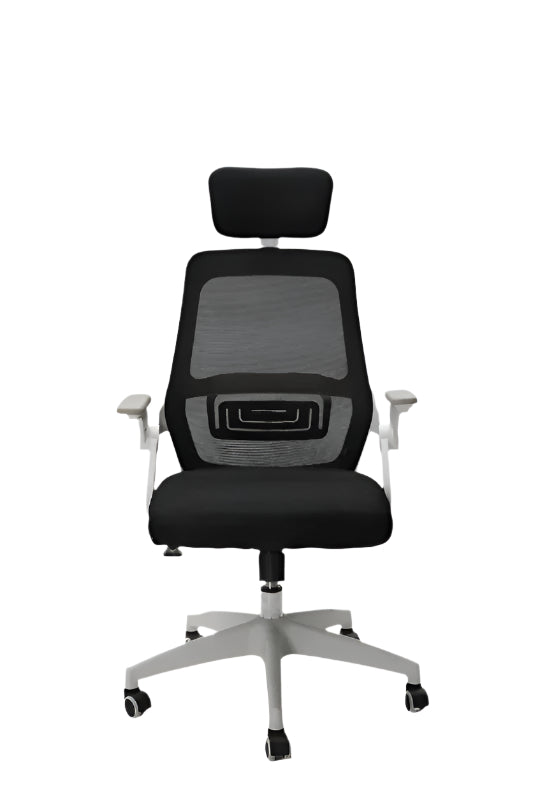 Ergo Classic High Back Office Chair