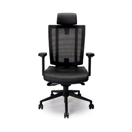 NetOne Ergonomic High-Back Office Chair