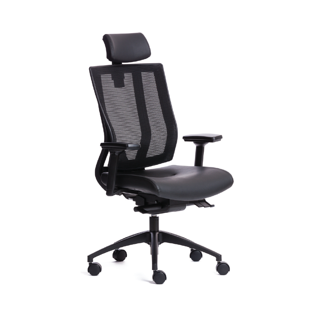 NetOne Ergonomic High-Back Office Chair