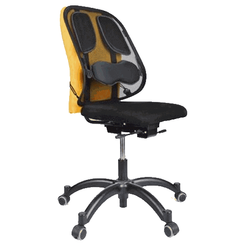 Professional Series Mesh Back Support - Modern Office